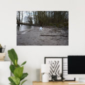 Capo von Oppenheim, Jack Russell Terrier Dog Poster (Thuiskantoor)