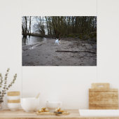 Capo von Oppenheim, Jack Russell Terrier Dog Poster (Keuken)