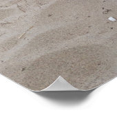 Capo von Oppenheim, Jack Russell Terrier Dog Poster (Hoek)