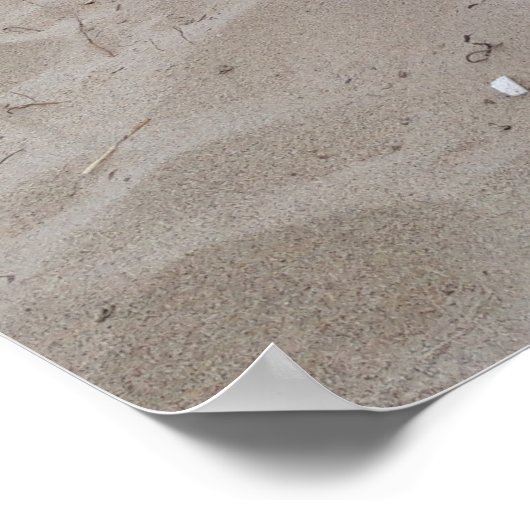 Capo von Oppenheim, Jack Russell Terrier Dog Poster (Hoek)