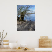 Capo von Oppenheim, Jack Russell Terrier Dog Poster (Keuken)