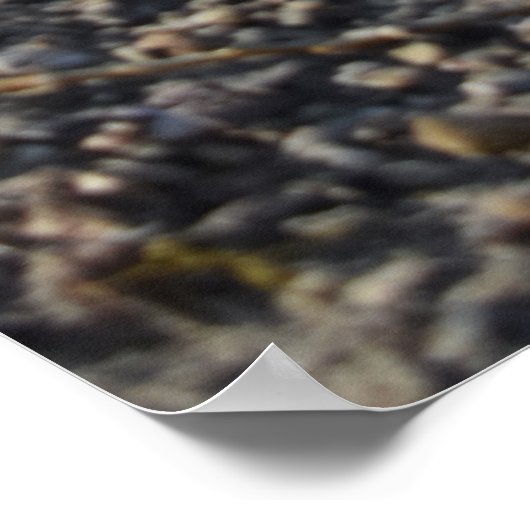 Capo von Oppenheim, Jack Russell Terrier dog Poster (Hoek)