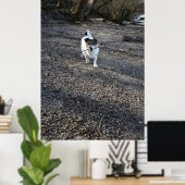 Capo von Oppenheim, Jack Russell Terrier dog Poster (Thuiskantoor)