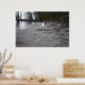 Capo von Oppenheim, Jack Russell Terrier Dog Poster (Keuken)