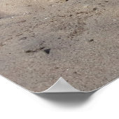 Capo von Oppenheim, Jack Russell Terrier dog Poster (Hoek)