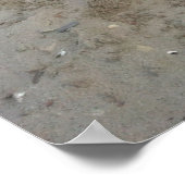 Capo von Oppenheim, Jack Russell Terrier dog Poster (Hoek)