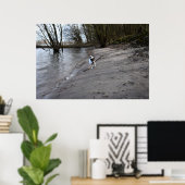 Capo von Oppenheim, Jack Russell Terrier Dog Poster (Thuiskantoor)