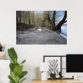 Capo von Oppenheim, Jack Russell Terrier Dog Poster (Thuiskantoor)