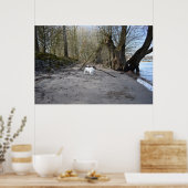 Capo von Oppenheim, Jack Russell Terrier Dog Poster (Keuken)