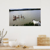 Capo von Oppenheim, Jack Russell Terrier Dog Poster (Keuken)