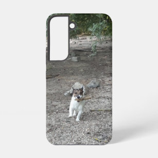 Capo von Oppenheim, Jack Russell Terrier Dog Samsung Galaxy Hoesje