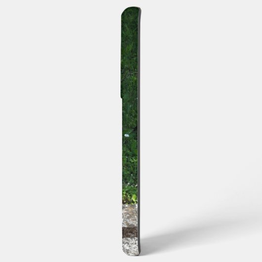 Capo von Oppenheim, Jack Russell Terrier Dog Samsung Galaxy Hoesje (Linkerkant)