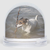 Capo von Oppenheim, Jack Russell Terrier Dog Sneeuwbol (Achterkant)