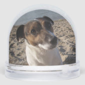 Capo von Oppenheim, Jack Russell Terrier Dog Sneeuwbol (Achterkant)