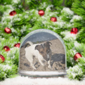 Capo von Oppenheim, Jack Russell Terrier Dog Sneeuwbol (Kerstmis)