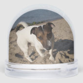 Capo von Oppenheim, Jack Russell Terrier Dog Sneeuwbol (Achterkant)