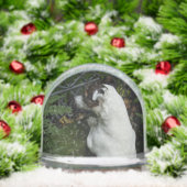 Capo von Oppenheim, Jack Russell Terrier Dog Sneeuwbol (Kerstmis)