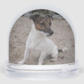 Capo von Oppenheim, Jack Russell Terrier Dog Sneeuwbol (Achterkant)
