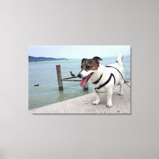 Capo von Oppenheim, Jack Russell Terrier hond Canvas Afdruk (Voorkant)