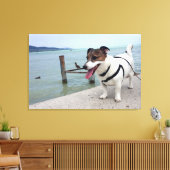 Capo von Oppenheim, Jack Russell Terrier hond Canvas Afdruk (Insitu (Woonkamer))