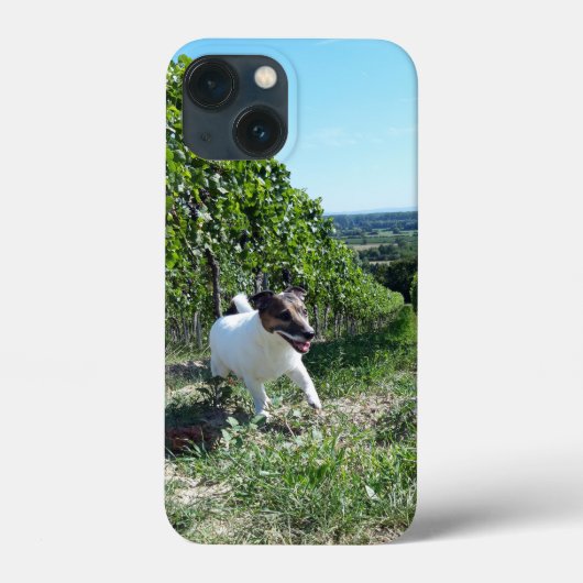 Capo von Oppenheim Jack Russell Terrier, Hond Case-Mate iPhone Case (Achterkant)