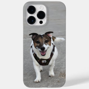 Capo von Oppenheim, Jack Russell Terrier hond Case-Mate iPhone 14 Pro Max Hoesje