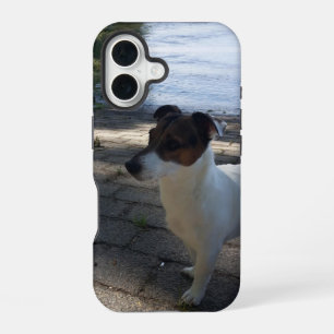 Capo von Oppenheim, Jack Russell Terrier hond iPhone 16 Hoesje