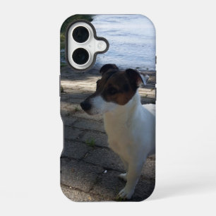 Capo von Oppenheim, Jack Russell Terrier hond iPhone 16 Hoesje