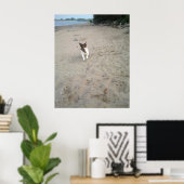 Capo von Oppenheim, Jack Russell Terrier hond Poster (Thuiskantoor)