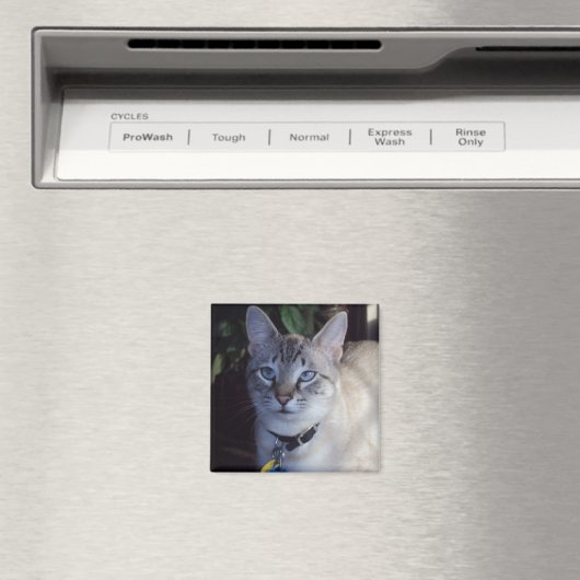 Cappuccino de kat magneet (Insitu (Vaatwasser))