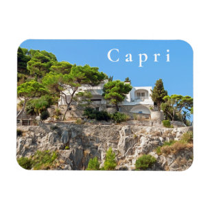 Capri. #10. magneet