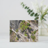 Capri. #11. briefkaart (Staand voorkant)