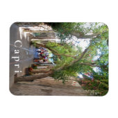 Capri. #5 magneet (Horizontaal)