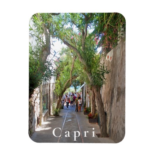 Capri. #5 magneet (Verticaal)