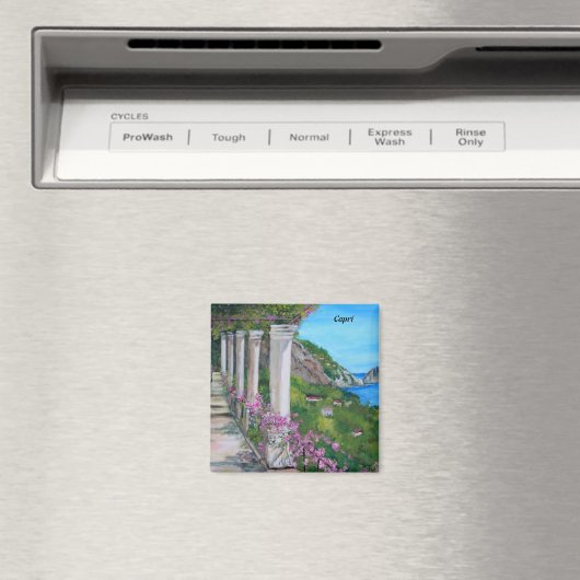 Capri, Italië - Magnet (Insitu (Vaatwasser))