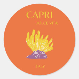Capri, Italië, Reis, Preppy, Oranje Ronde Sticker