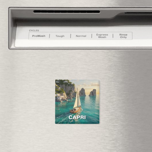 Capri Italy Travel Magneet (Insitu (Vaatwasser))