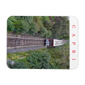 Capri kabelmagneet van uitzicht magneet (Horizontaal)