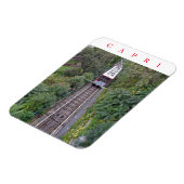 Capri kabelmagneet van uitzicht magneet (Linkerzijde)