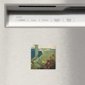 Capri Magneet (Insitu (Vaatwasser))