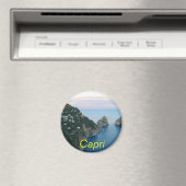 Capri magneet (Insitu (Vaatwasser))