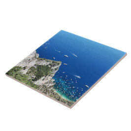 Capri-stemming (groot) tegeltje