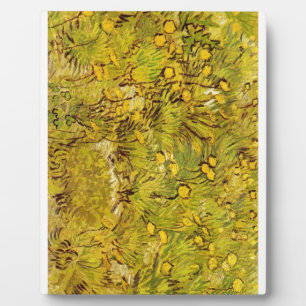 Capricieuze Huwelijk van de Bloesems van Gogh Fotoplaat