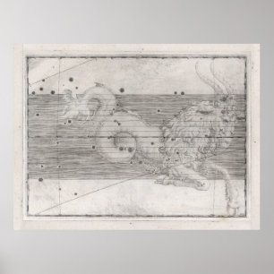 Capricorn Astrology Constellation Map (165) Poster