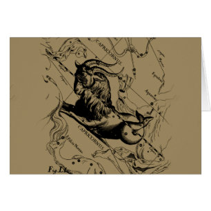 Capricorn Constellation  Engraving Hevelius