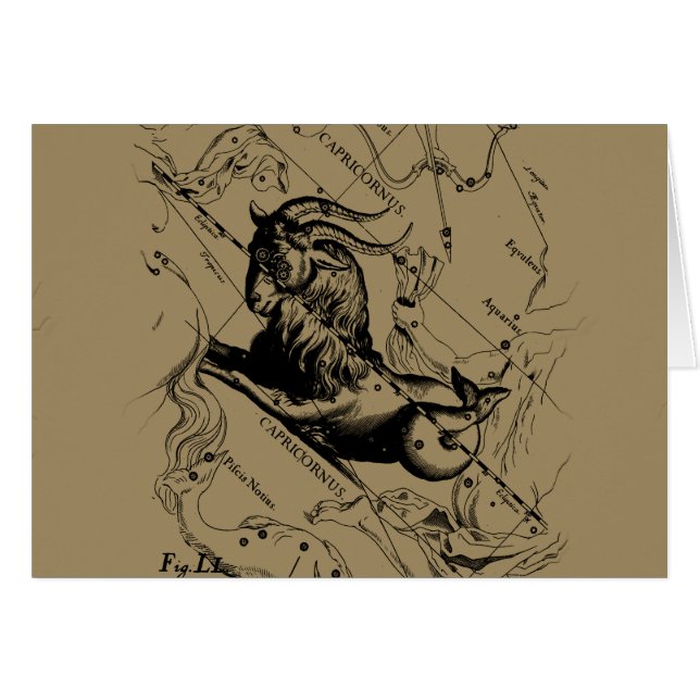 Capricorn Constellation  Engraving Hevelius (Voorkant Horizontaal)