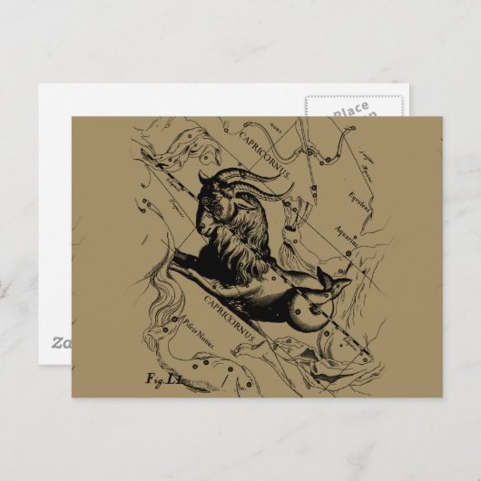 Capricorn Constellation  Engraving Hevelius Briefkaart (Voorkant / Achterkant)
