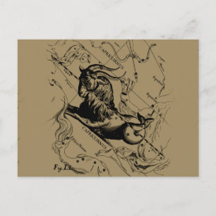 Capricorn Constellation  Engraving Hevelius Briefkaart