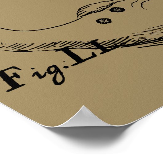 Capricorn Constellation  Engraving Hevelius Poster (Hoek)