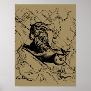 Capricorn Constellation Engraving Hevelius Poster